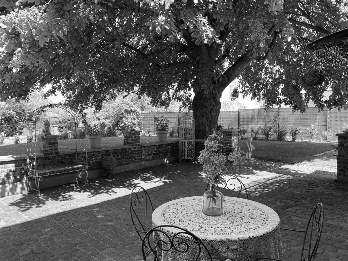 La Villa des Roses - Suite&Spa Lys-lez-Lannoy Esterno foto